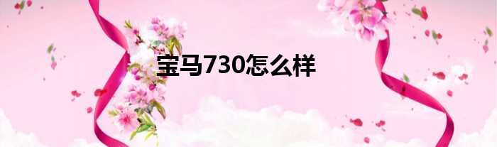 宝马730怎么样
