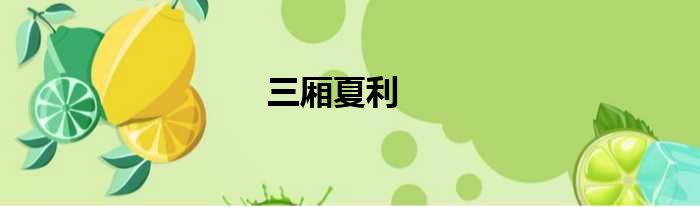 三厢夏利