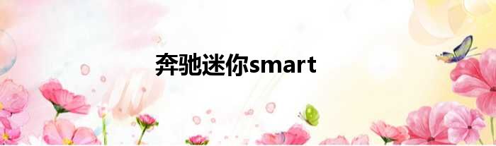 奔驰迷你smart