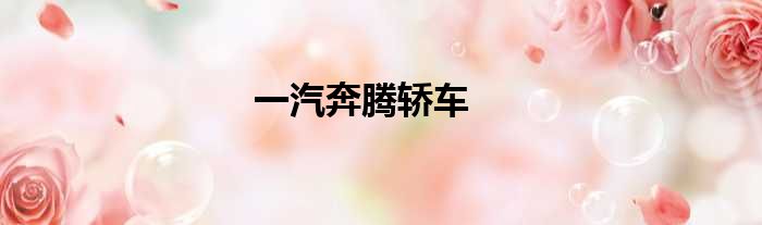 一汽奔腾轿车