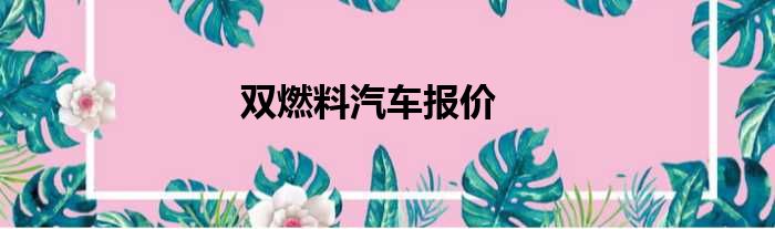双燃料汽车报价