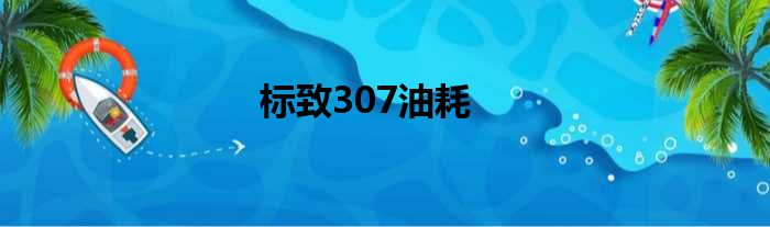 标致307油耗