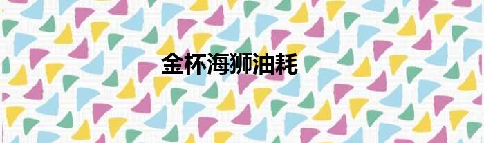 金杯海狮油耗
