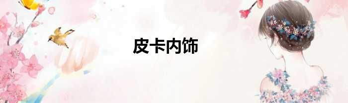 皮卡内饰