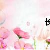 长城汽车最新款suv