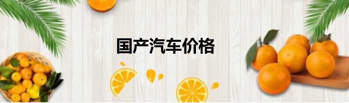 国产汽车价格