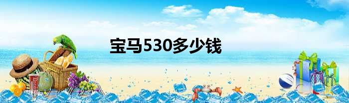 宝马530多少钱