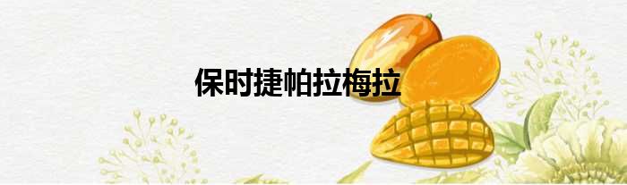 保时捷帕拉梅拉