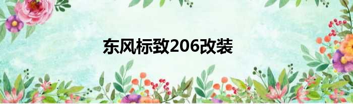 东风标致206改装