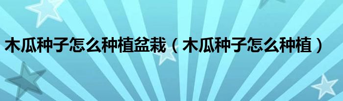 木瓜种子怎么种植盆栽（木瓜种子怎么种植）