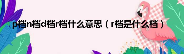 p档n档d档r档什么意思（r档是什么档）