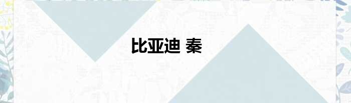 比亚迪 秦