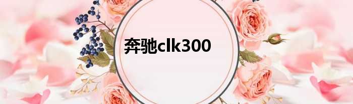 奔驰clk300