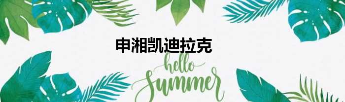 申湘凯迪拉克