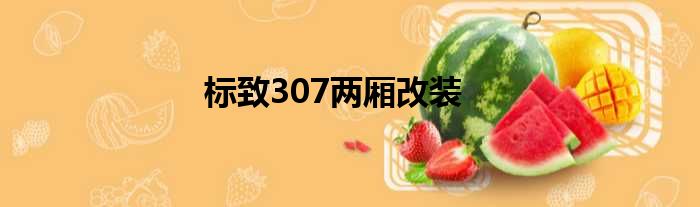 标致307两厢改装