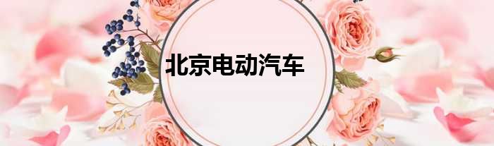 北京电动汽车