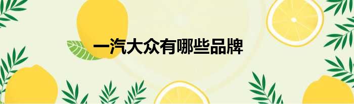 一汽大众有哪些品牌