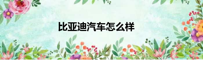 比亚迪汽车怎么样