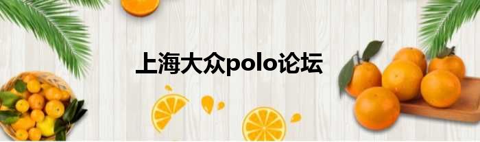 上海大众polo论坛