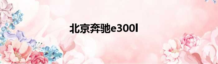 北京奔驰e300l