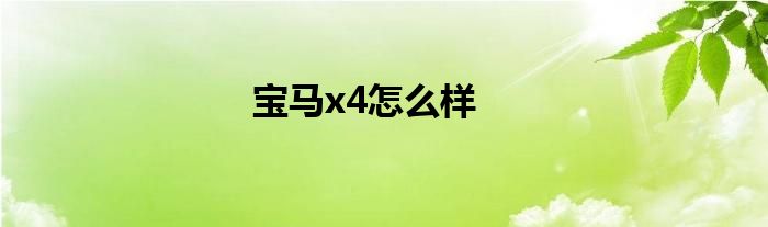 宝马x4怎么样