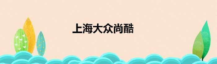 上海大众尚酷