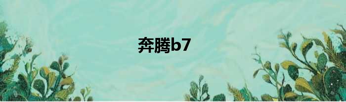 奔腾b7