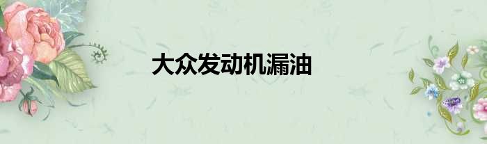 大众发动机漏油