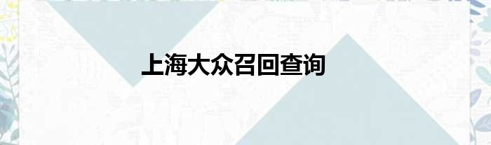 上海大众召回查询