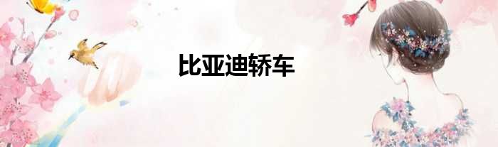 比亚迪轿车
