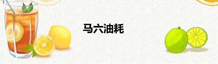马六油耗