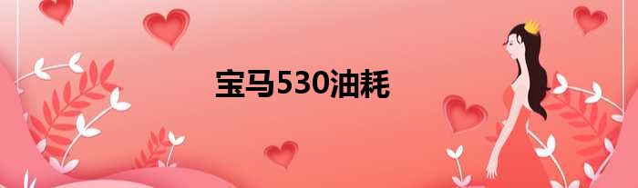 宝马530油耗