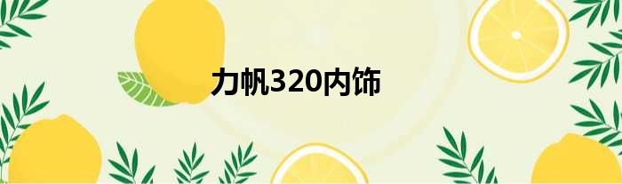 力帆320内饰