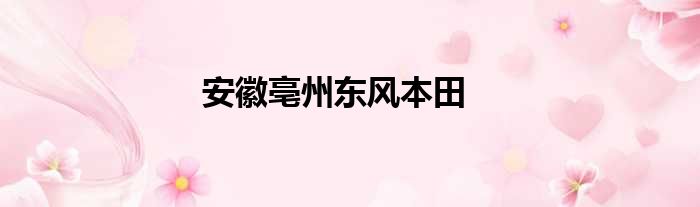 安徽亳州东风本田