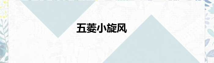 五菱小旋风