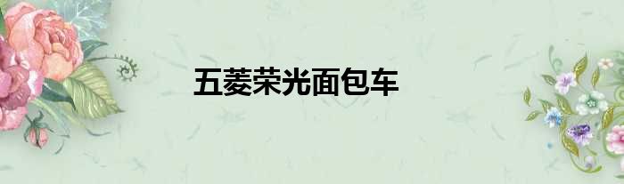 五菱荣光面包车