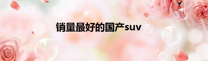 销量最好的国产suv