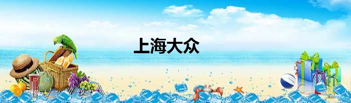 上海大众