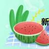 新桑塔纳2013款报价