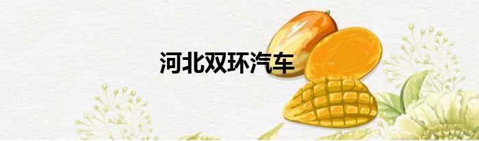 河北双环汽车
