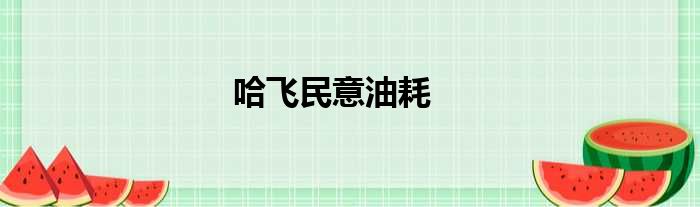 哈飞民意油耗