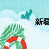 新桑塔纳和新捷达哪个好