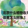 北京什么植物春天最先开花？领创少年探寻植物“智慧” 具体是怎么回事？