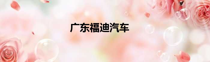广东福迪汽车