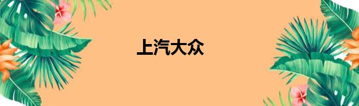 上汽大众