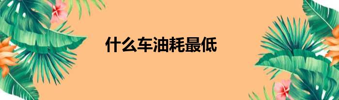 什么车油耗最低