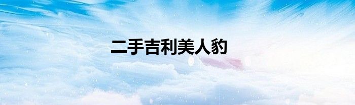 二手吉利美人豹