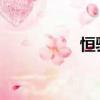 恒驰汽车什么时候上市