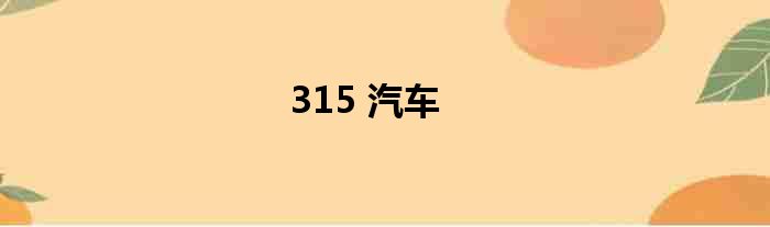 315 汽车