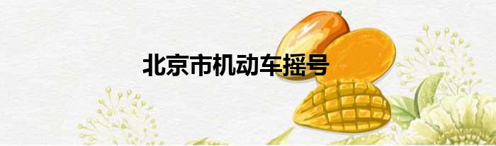北京市机动车摇号
